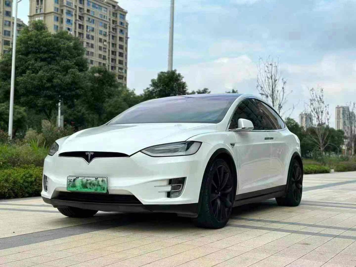 特斯拉 Model X  2016款 Model X 75D圖片