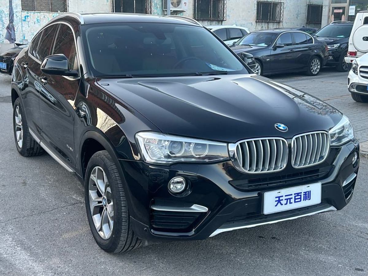 寶馬 寶馬X4  2014款 xDrive20i X設(shè)計(jì)套裝圖片