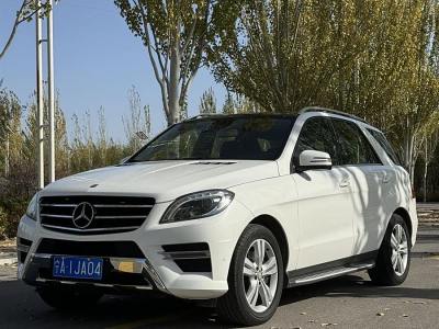 2015年1月 奔馳 奔馳M級(進(jìn)口) ML 350 CDI 4MATIC圖片