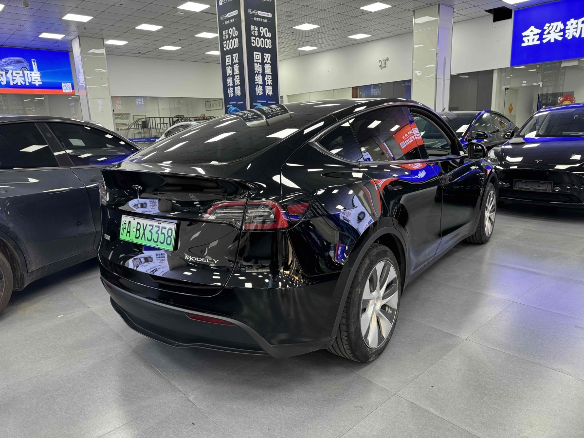 2023年5月特斯拉 Model 3  2020款 改款 長(zhǎng)續(xù)航后輪驅(qū)動(dòng)版