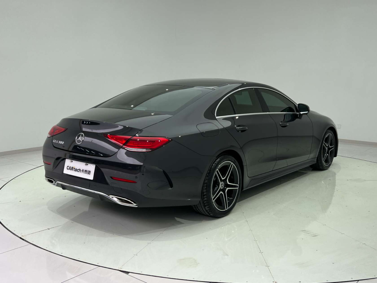 奔馳 奔馳CLS級(jí)  2023款 CLS 300 動(dòng)感型圖片