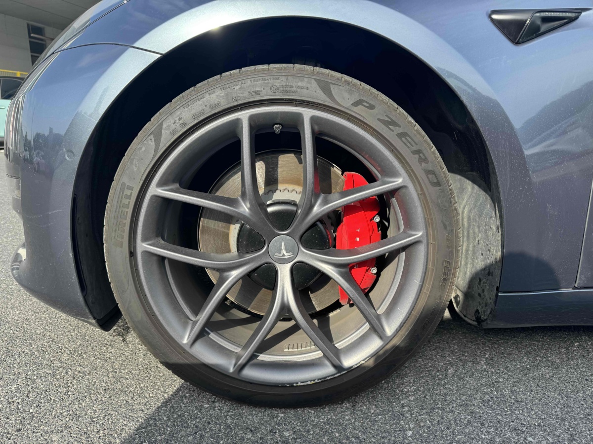特斯拉 Model 3  2022款 Performance高性能全輪驅(qū)動版圖片