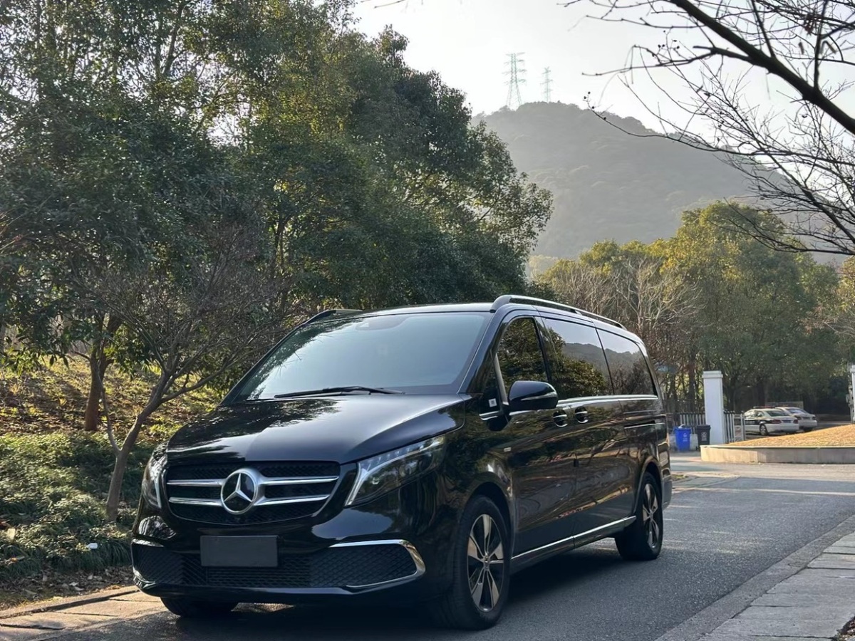 奔馳 V級  2021款 V 260 L 長軸距尊貴版圖片