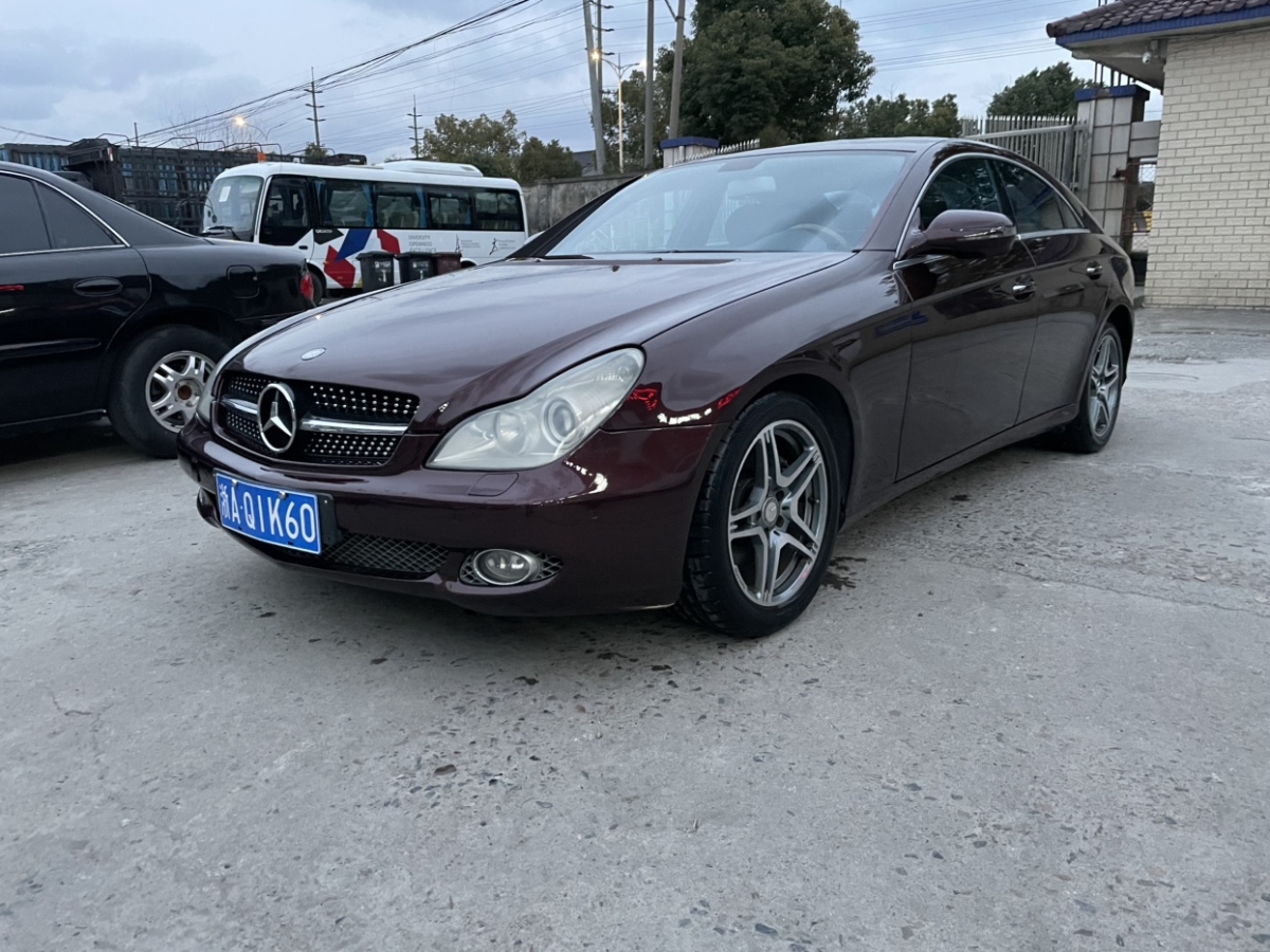 奔馳 奔馳CLS級(jí)  2009款 CLS 300圖片