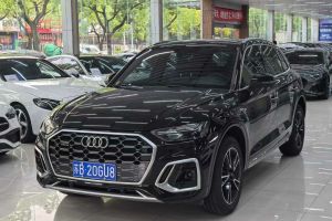 奧迪Q5 e-tron 奧迪 40 e-tron 星耀型 影武士版