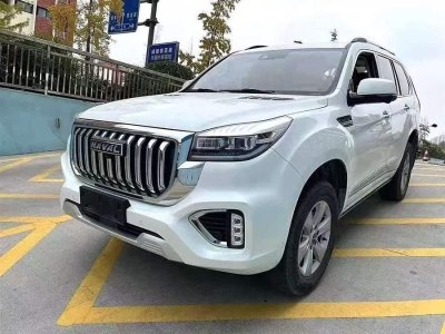 2021年4月 哈弗 H9 2.0T 汽油四驅(qū)尊貴型 7座圖片