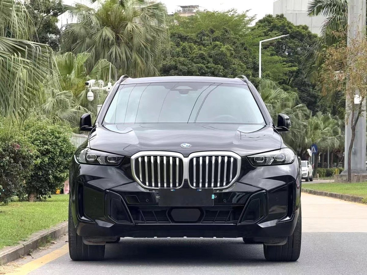寶馬 寶馬X5  2023款 xDrive 30Li 尊享型M運(yùn)動(dòng)曜夜套裝圖片