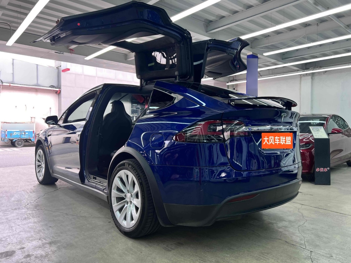 特斯拉 Model X  2019款 長續(xù)航版圖片