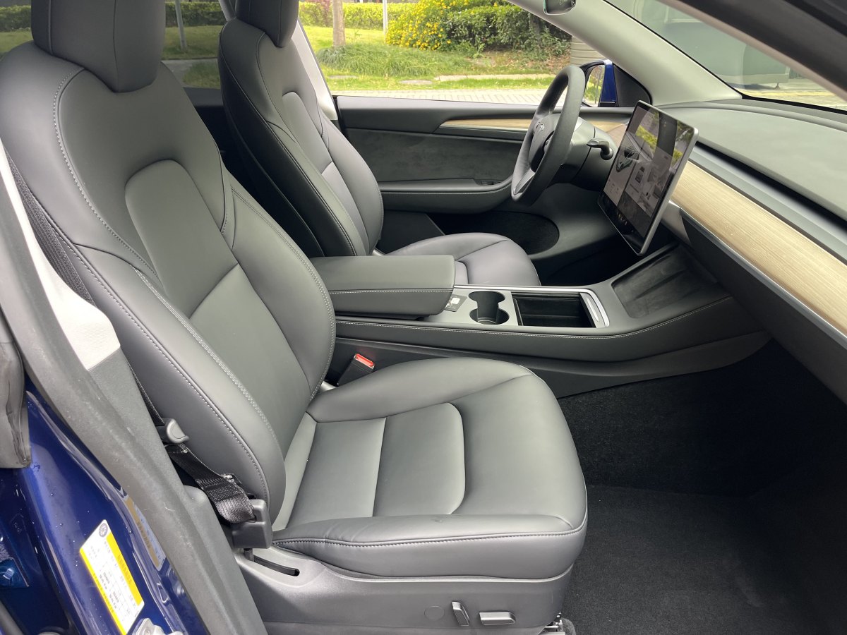 特斯拉 Model Y  2021款 標(biāo)準(zhǔn)續(xù)航后驅(qū)版圖片