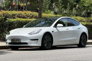 Model 3 特斯拉 改款 標準續(xù)航后驅升級版