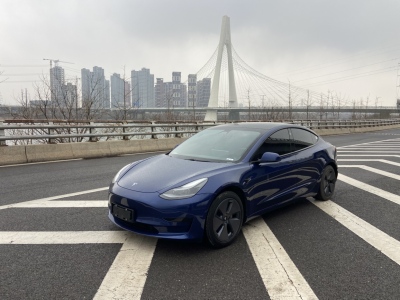 2021年01月 特斯拉 Model 3 標(biāo)準(zhǔn)續(xù)航后驅(qū)升級版圖片