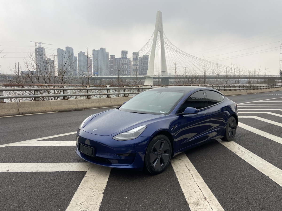 2021年01月特斯拉 Model 3  2019款 標(biāo)準(zhǔn)續(xù)航后驅(qū)升級(jí)版