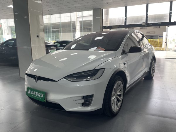 特斯拉 Model X  2020款 Performance 高性能版