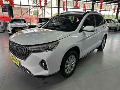 2022年1月 哈弗 M6 PLUS 1.5T 手動(dòng)豪華智聯(lián)型圖片