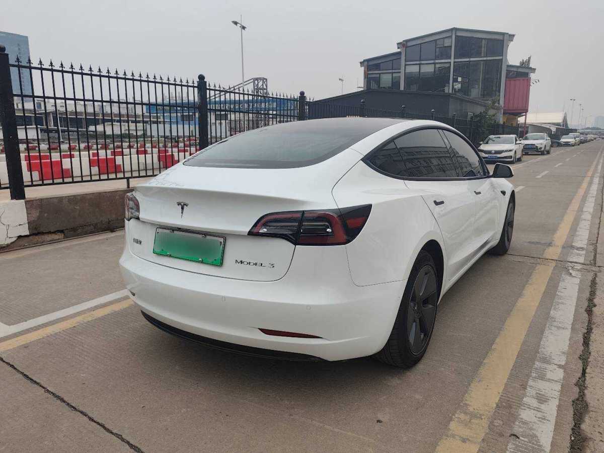 特斯拉 Model 3  2021款 標(biāo)準(zhǔn)續(xù)航后驅(qū)升級(jí)版 3D6圖片