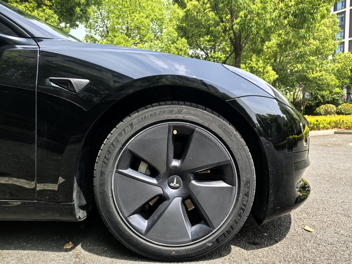 特斯拉 Model 3  2022款 后輪驅(qū)動版圖片