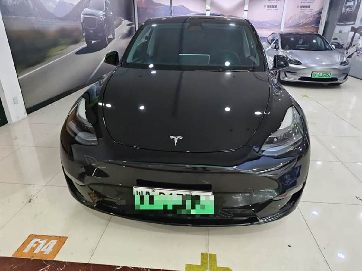 特斯拉 Model Y  2023款 長(zhǎng)續(xù)航煥新版 雙電機(jī)全輪驅(qū)動(dòng)圖片