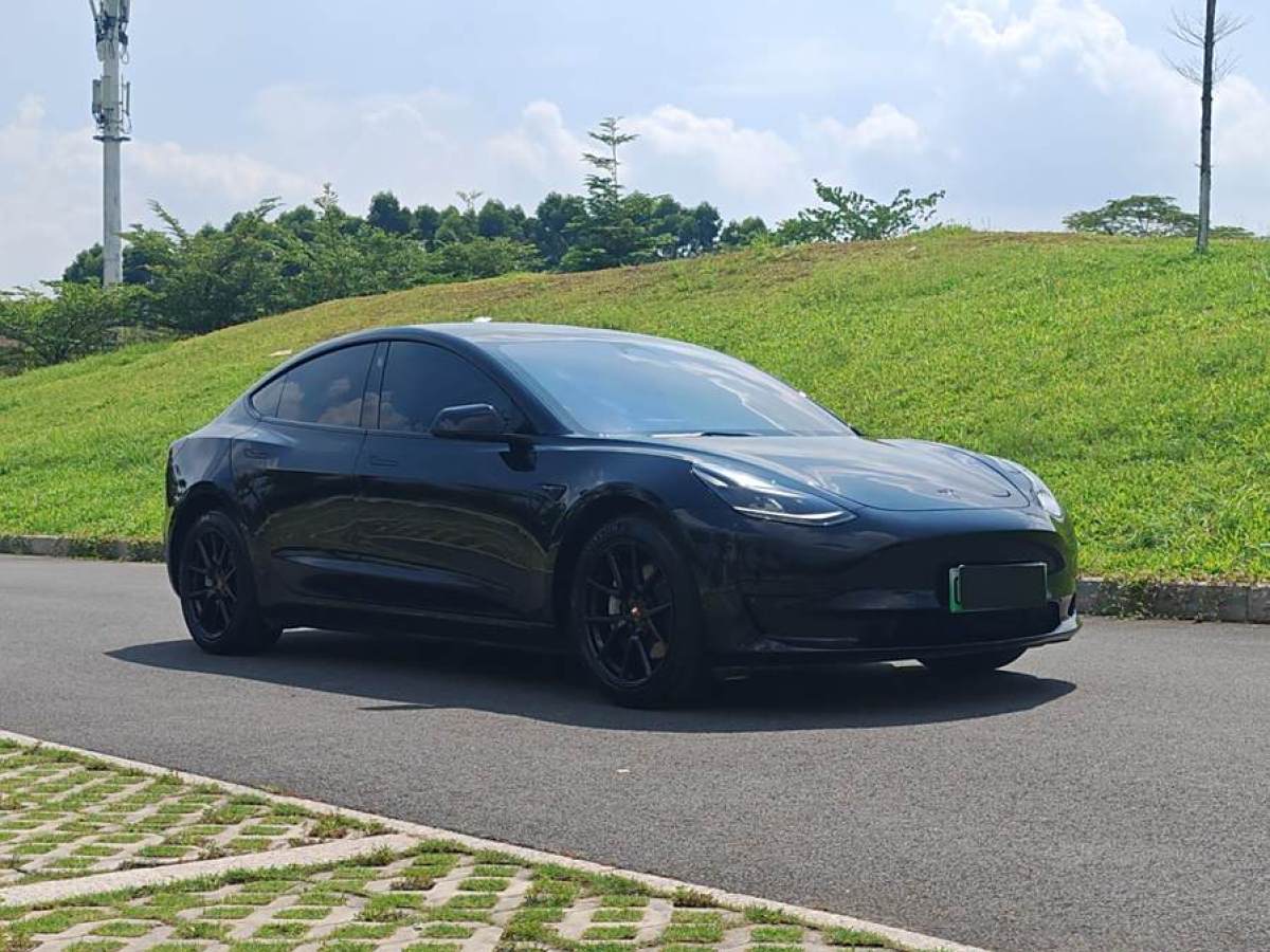 特斯拉 Model 3  2022款 改款 后輪驅(qū)動(dòng)版圖片