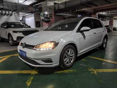 2019年1月 大眾 高爾夫 230TSI 自動(dòng)舒適型圖片