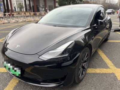 2021年3月 特斯拉 Model 3 標(biāo)準(zhǔn)續(xù)航后驅(qū)升級(jí)版圖片