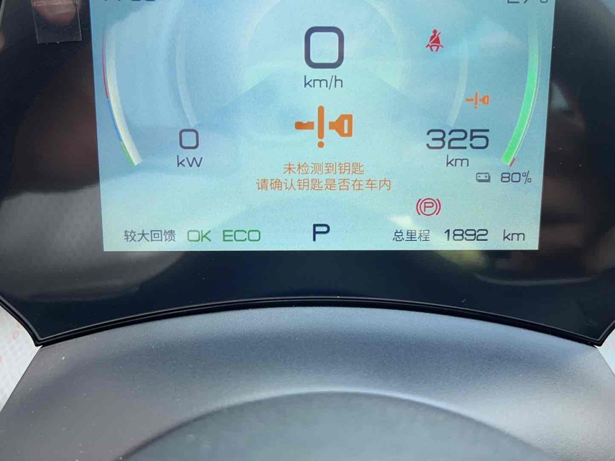 2022年11月比亞迪 海豚  2021款 405km 時(shí)尚版