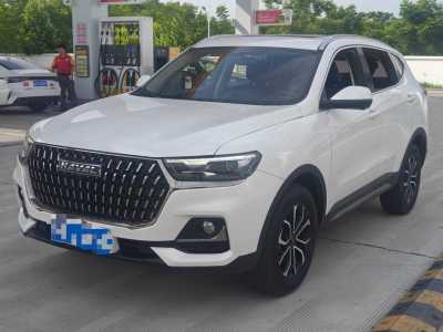 2023年8月 哈弗 H6 國潮版 1.5T 自動都市版圖片