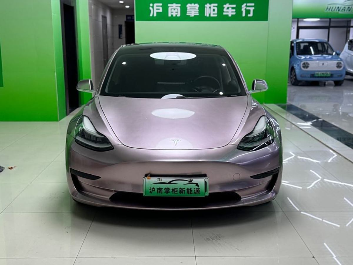 2021年1月特斯拉 Model 3  2020款 改款 標(biāo)準(zhǔn)續(xù)航后驅(qū)升級(jí)版