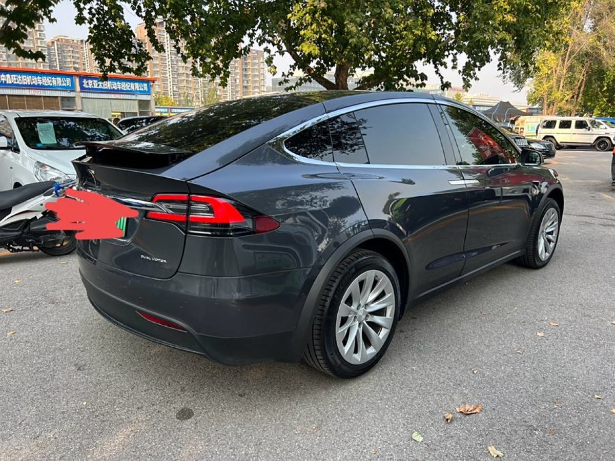 2019年9月特斯拉 Model X  2019款 長續(xù)航版