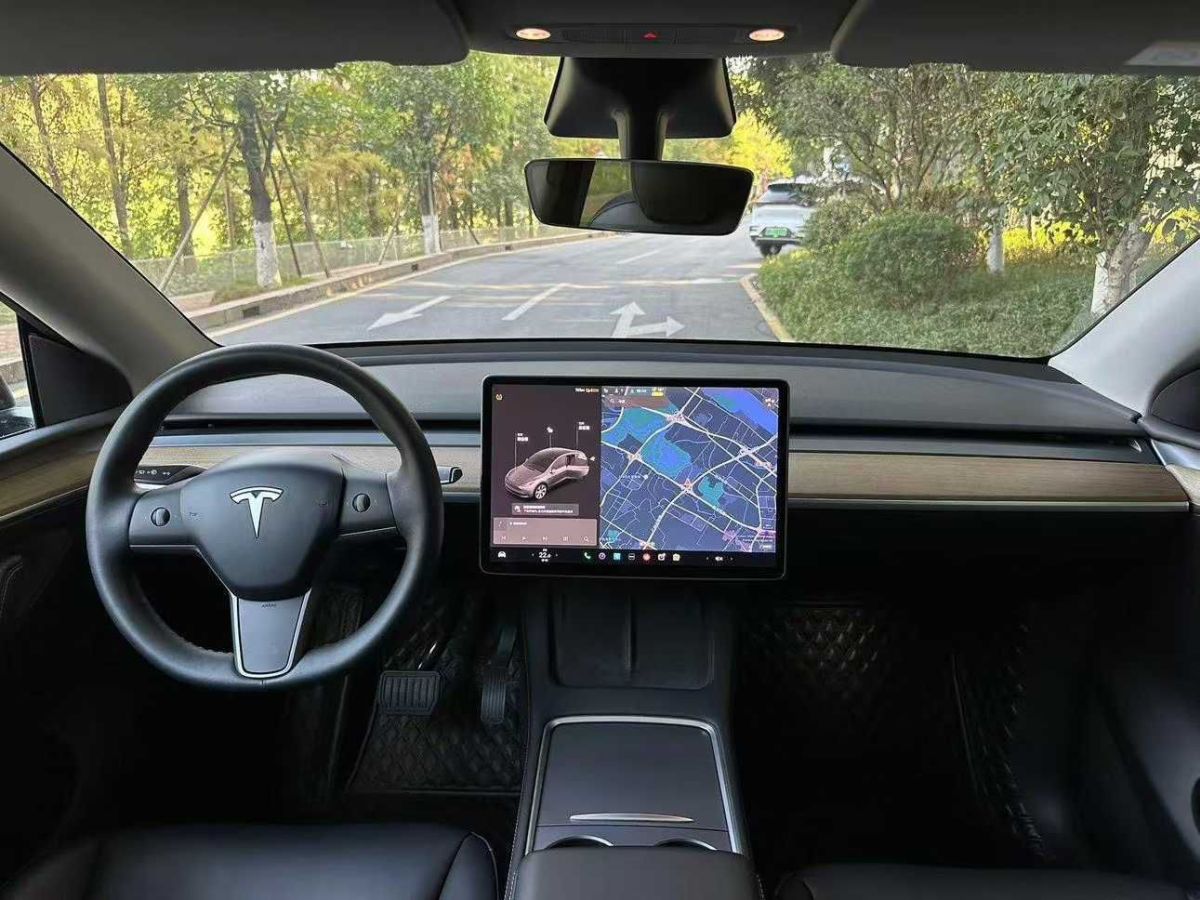 特斯拉 Model Y  2022款 Performance高性能全輪驅(qū)動(dòng)版圖片
