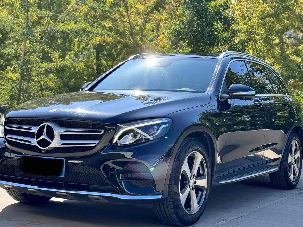 2017年1月奔馳 奔馳GLC  2017款 GLC 260 4MATIC 豪華型