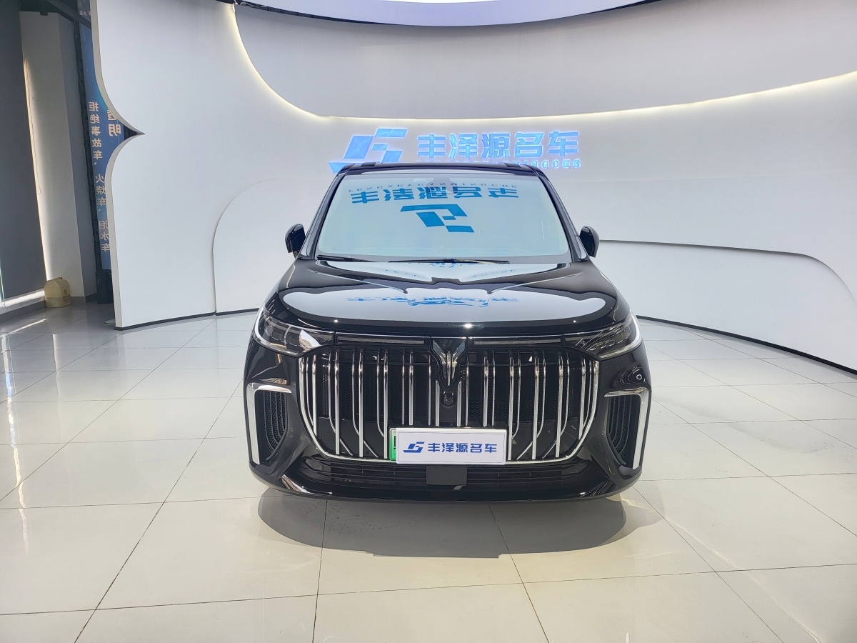 嵐圖 夢想家  2024款 PHEV 超長續(xù)航尊貴版圖片