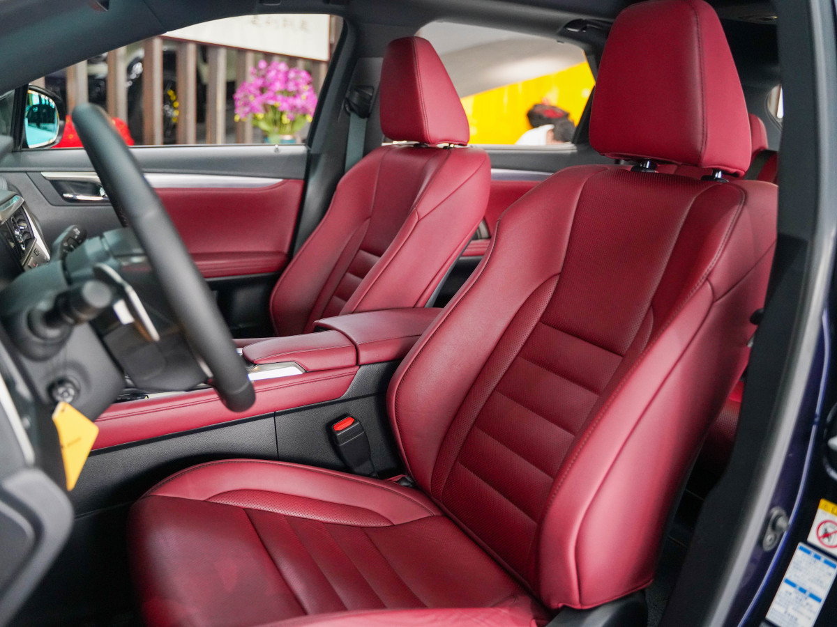 雷克薩斯 RX  2017款 300 Mark Levinson 四驅(qū)F SPORT版 國(guó)V圖片