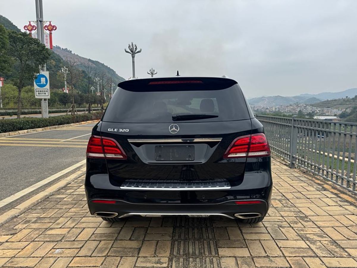 奔馳 奔馳GLE  2019款 GLE 320 4MATIC 動(dòng)感型臻藏版圖片