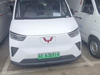 2024年9月 五菱 五菱揚(yáng)光 300KM 舒適型客車版 75kW圖片