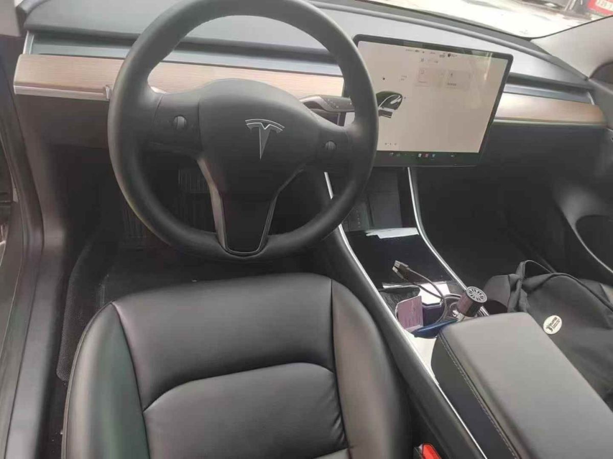 特斯拉 Model 3  2020款 標(biāo)準(zhǔn)續(xù)航后驅(qū)升級版圖片