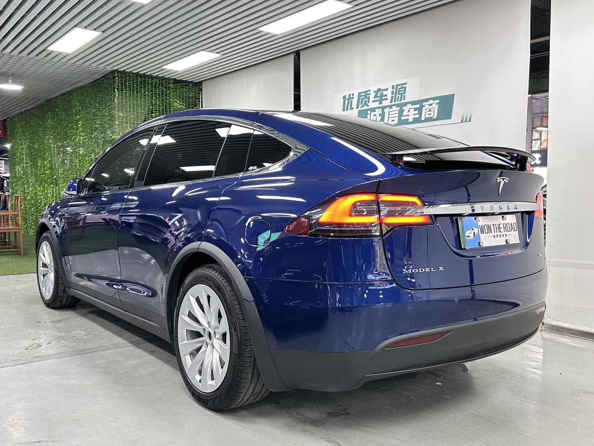 特斯拉 Model X  2017款 Model X 100D 長續(xù)航版圖片