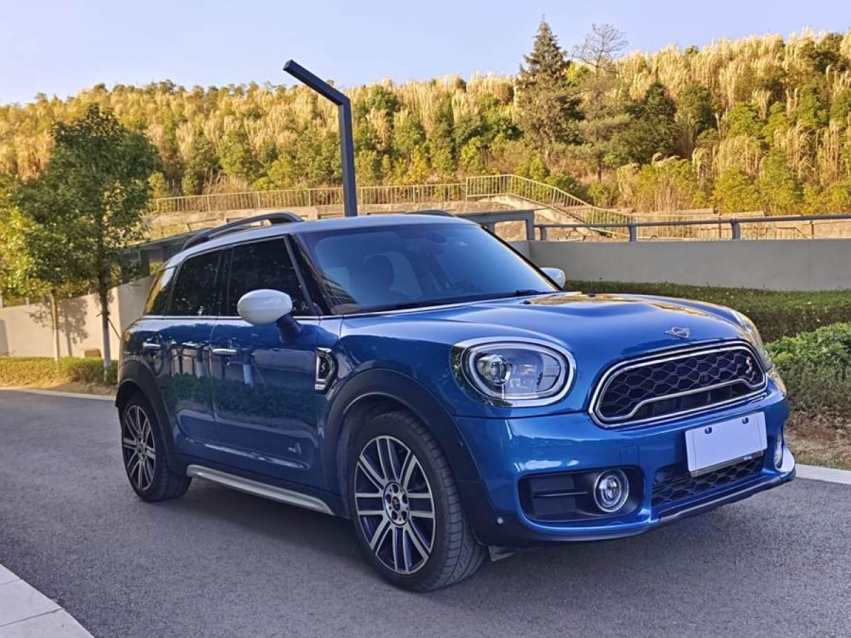 MINI COUNTRYMAN  2019款 2.0T COOPER S ALL4 藝術(shù)家圖片