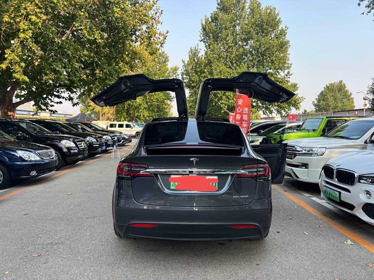 特斯拉 Model X  2019款 長續(xù)航版圖片