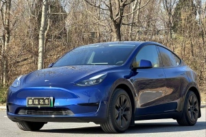 Model Y 特斯拉 24款 标准续航 后轮驱动版