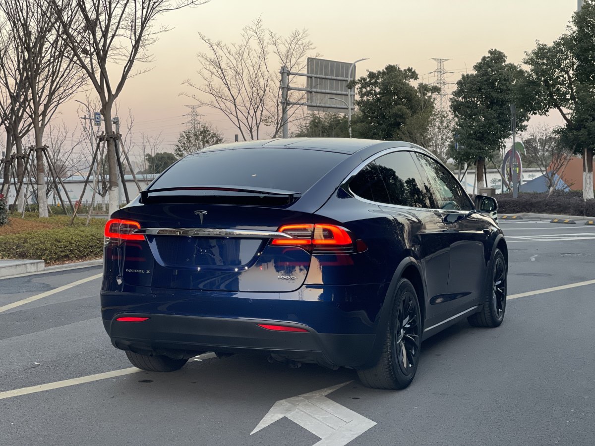 特斯拉 Model X  2017款 Model X 100D 長續(xù)航版圖片