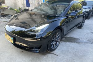 Model 3 特斯拉 标准续航后驱升级版