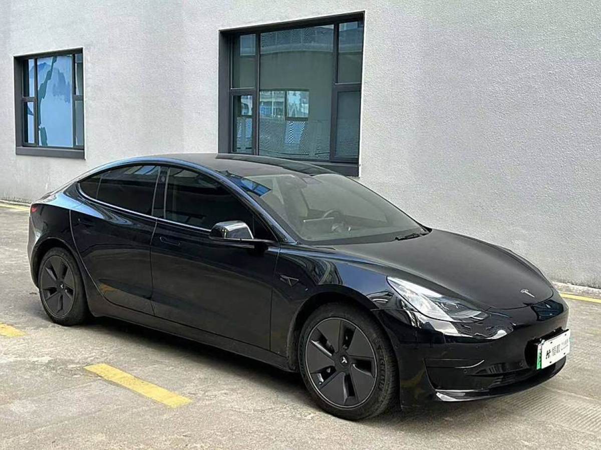 特斯拉 Model 3  2021款 改款 標(biāo)準(zhǔn)續(xù)航后驅(qū)升級(jí)版圖片