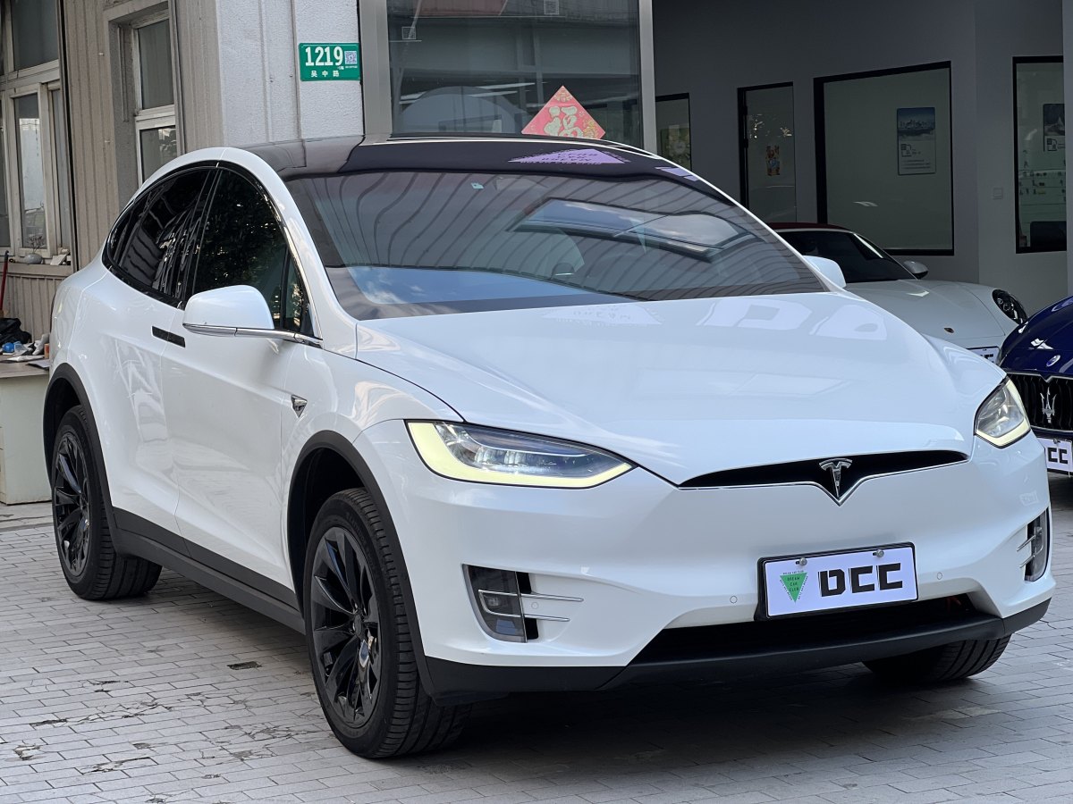 特斯拉 Model X  2019款 長(zhǎng)續(xù)航版圖片