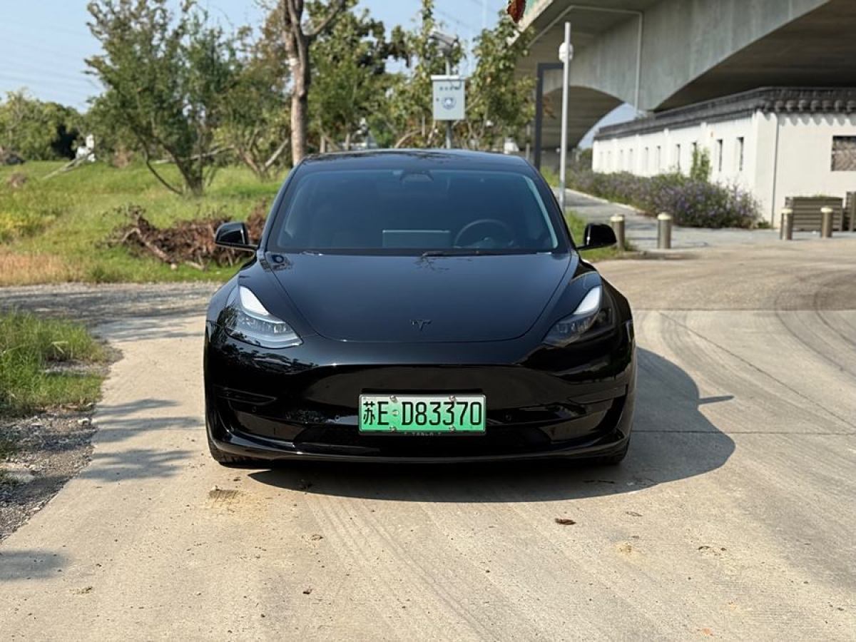 特斯拉 Model 3  2021款 Performance高性能全輪驅(qū)動(dòng)版圖片