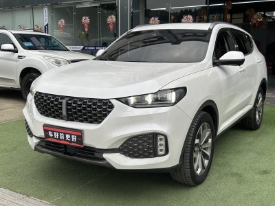 2019年8月 WEY VV6 2.0T 兩驅(qū)智護(hù)+圖片