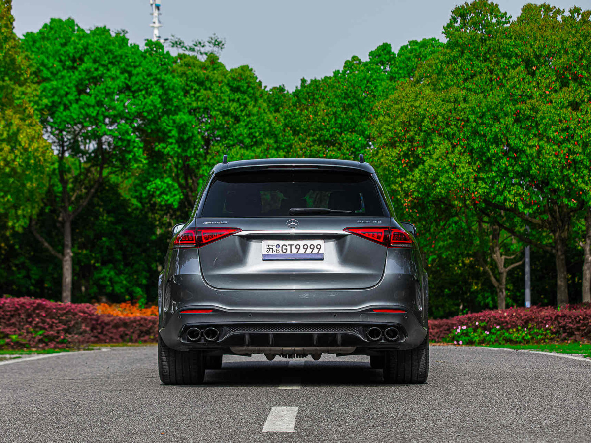 奔馳 奔馳GLE AMG  2020款 AMG GLE 53 4MATIC+圖片