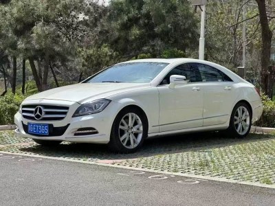 2013年11月 奔馳 奔馳CLS級(進(jìn)口) CLS 300 CGI圖片