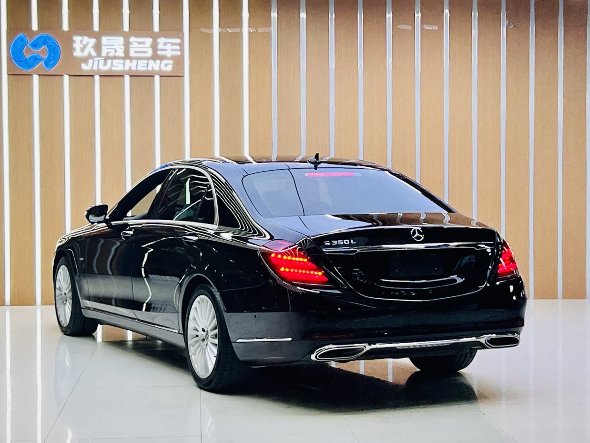 奔馳 奔馳S級  2020款 S 350 L 商務(wù)型 臻藏版圖片