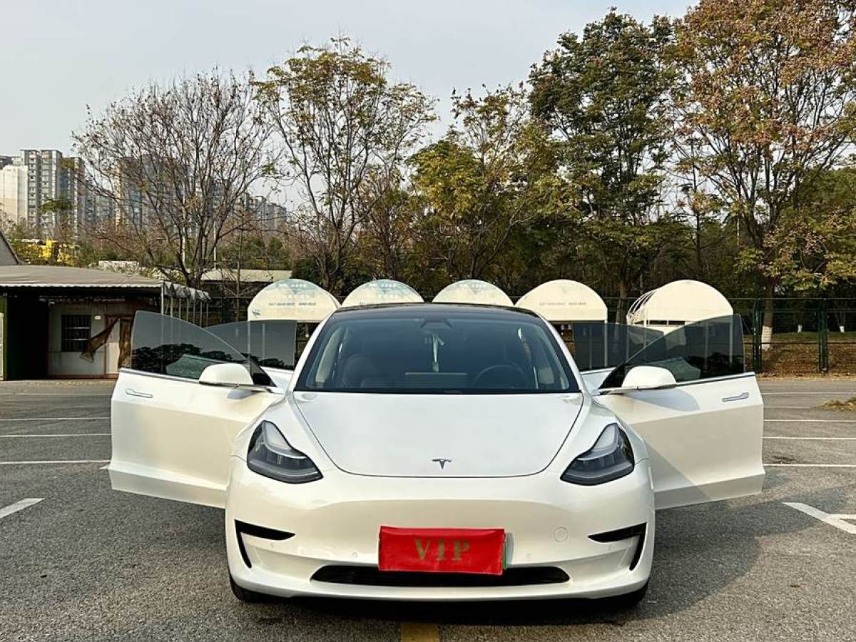 特斯拉 Model 3  2019款 標準續(xù)航后驅升級版圖片