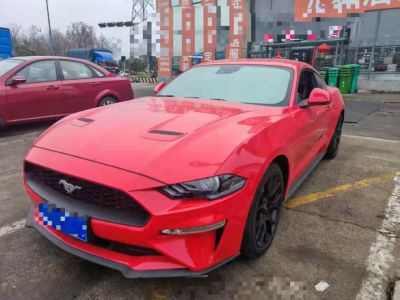 2021年1月 福特 Mustang(進(jìn)口) 2.3L EcoBoost圖片